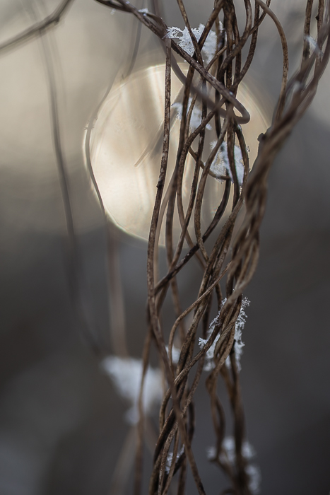 Fine art nature photography expressing calm and visual meditation