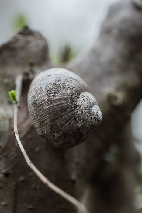 Nature photography inspired by mindful observation and presence