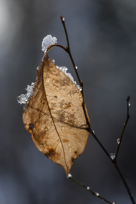 Fine art wall art inspired by nature, light and simplicity
