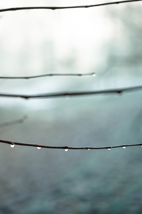 Mindful art inspired by close observation of the natural world