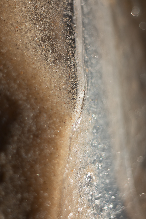 Abstract botanical photography focused on shape, light and texture